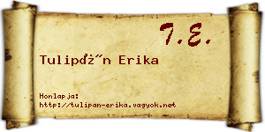 Tulipán Erika névjegykártya