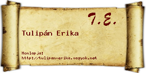 Tulipán Erika névjegykártya